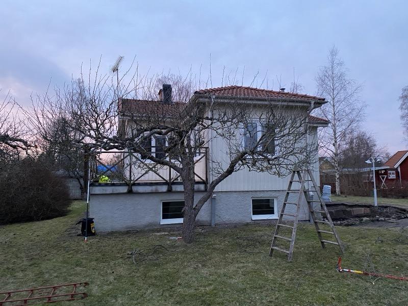 Fruktträd efter beskärning 2